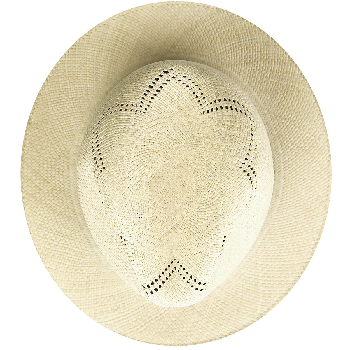 Bailey 1922 Arion Fedora - Past Season Sale