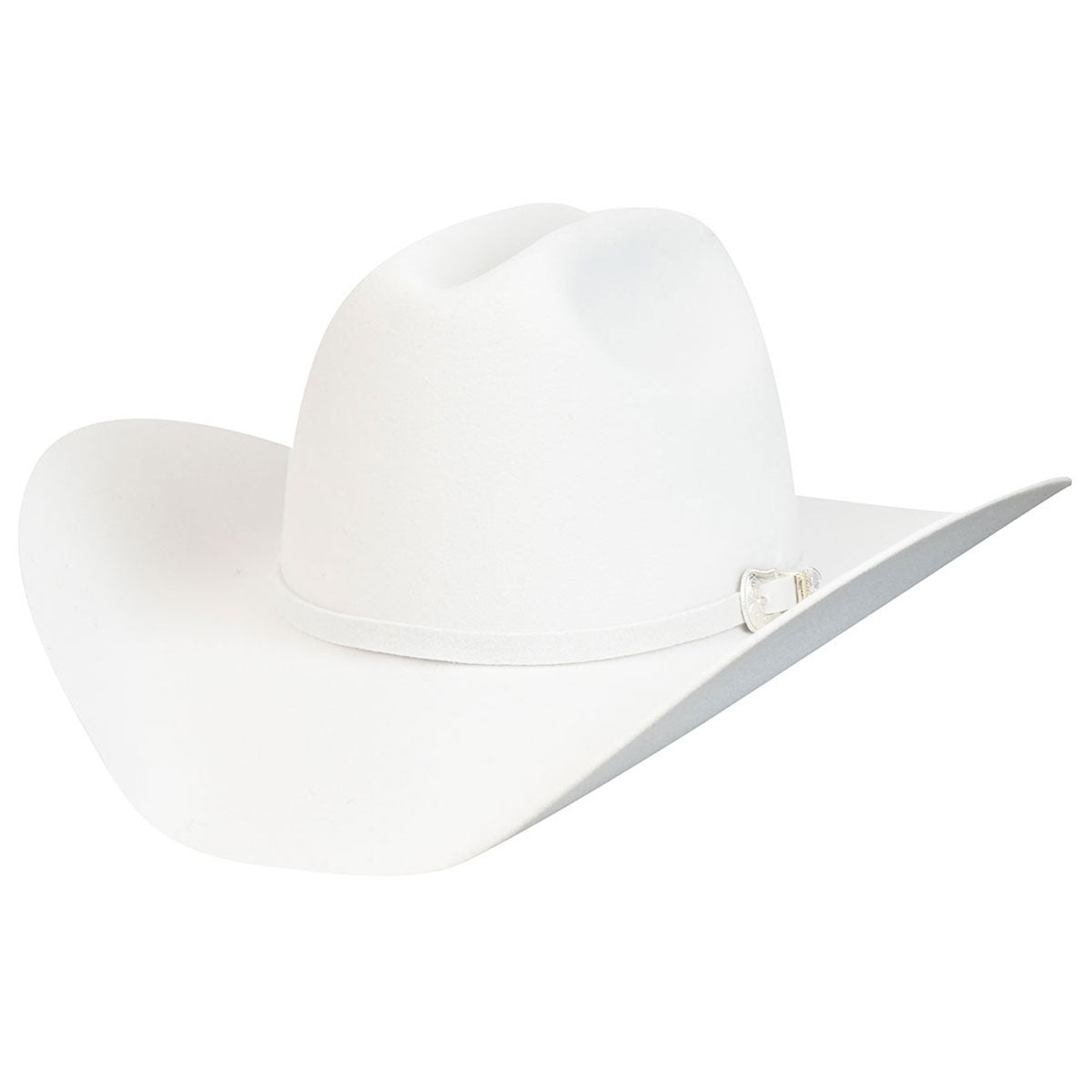 Bailey Western Lightning 4X