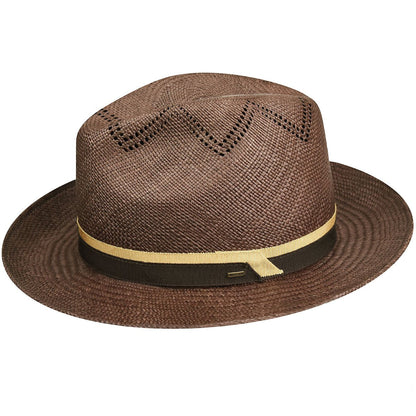Bailey 1922 Arion Fedora